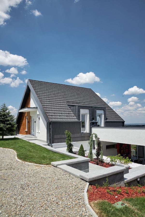 Riverside Pool Villa-Sremski Karlovci Exterior foto